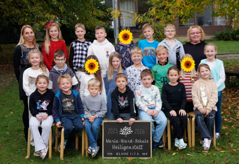 KL 1-2 A mit Sonnenblumen