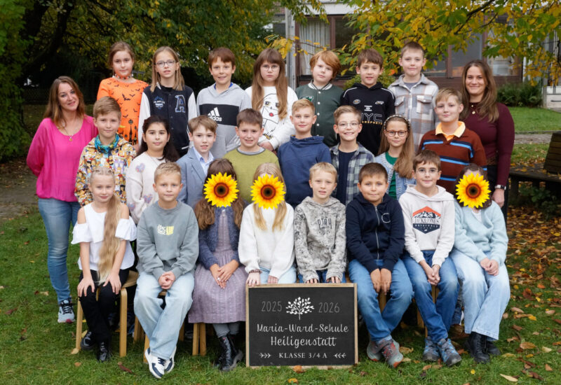 KL 3-4 A mit Sonnenblumen